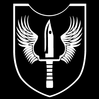 C8nquErr8r's emblem