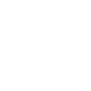 Egor-kv16's emblem