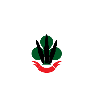 AngryH2O's emblem