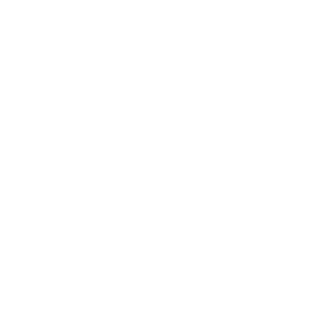 IVskin's emblem