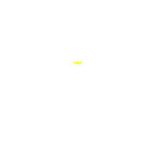 DFH998's emblem