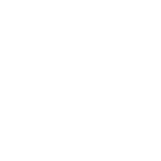 Venntex's emblem