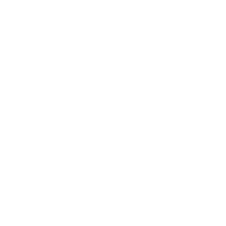LarsLbL's emblem