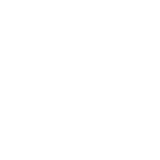 henrique-allan's emblem