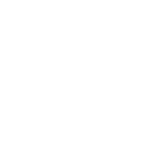VAICE_BRA's emblem