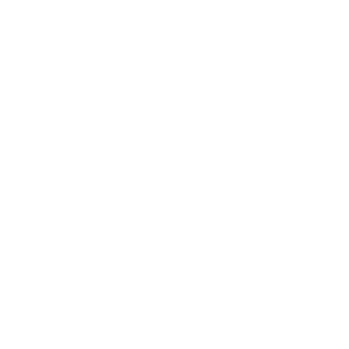 ZZBIGGY's emblem