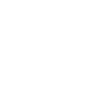 DerNischi's emblem