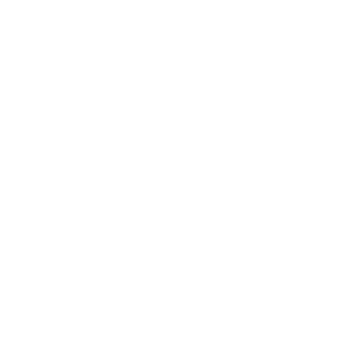 chihyi2099's emblem