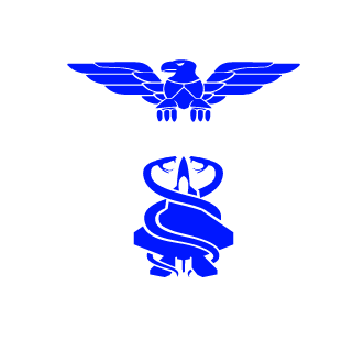 COLD_7_ICE's emblem