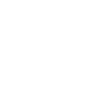 skoop pro's emblem