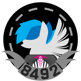 AWACS_Slunt's emblem