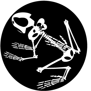 -o-0-YAKUZA-0-o-'s emblem