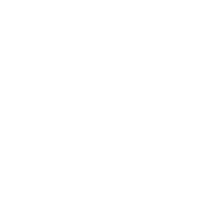 Nik485's emblem