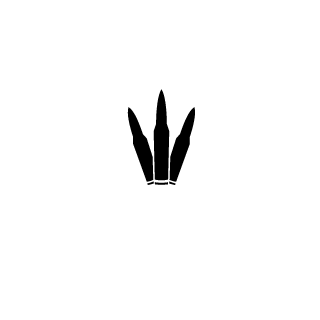 SuuuaOwO's emblem