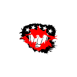 13igjim's emblem