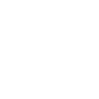 Z_CHVKVAGNER_Z's emblem