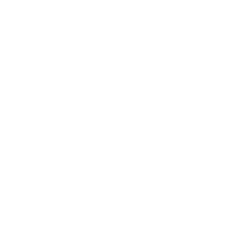 95f21c0a0f65be8e's emblem