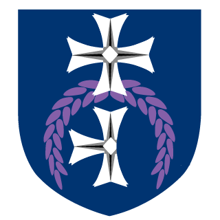 SadFeyz's emblem