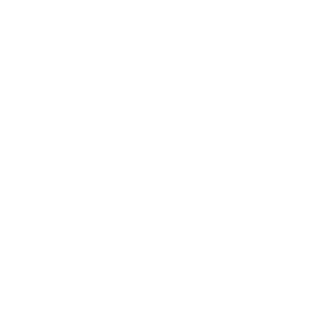 BINKZY_2000's emblem