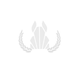 Randomthingsoko's emblem