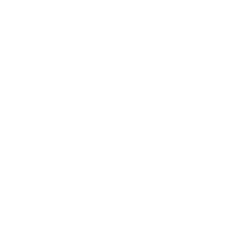 JardenSoulBlaze's emblem