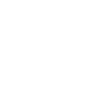X-NeverMy-X's emblem