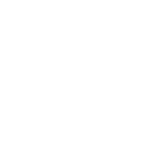 VNER77's emblem