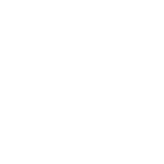 revzn's emblem
