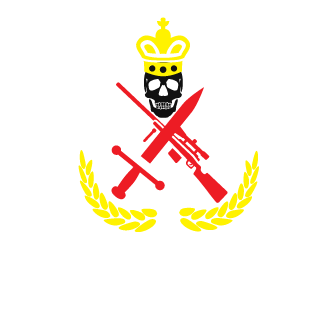 YlfaFoxdye's emblem