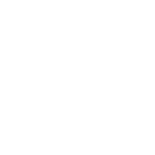 AZ2980's emblem