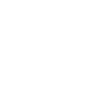 Toose46's emblem