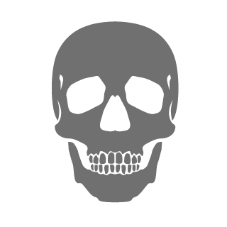 Leozer4_FPS's emblem