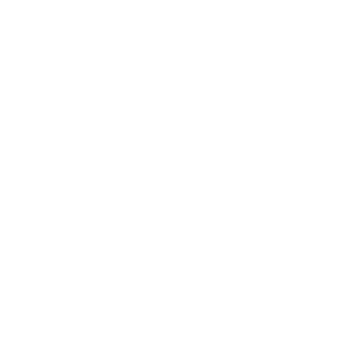 VanoxLFT's emblem