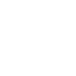2100300963's emblem