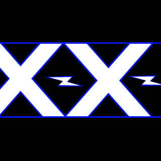 XzeroXz's emblem