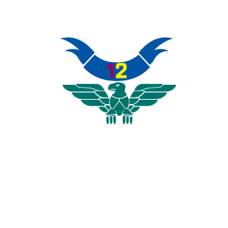 TheSTR1S's emblem