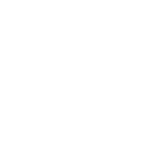 PartialPaladin8's emblem