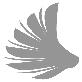 playPremium's emblem