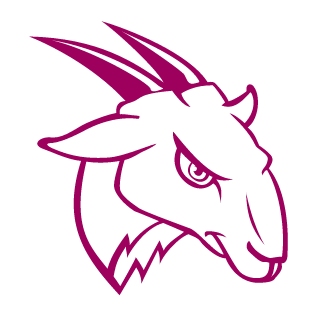Bigbirdx19's emblem