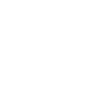 xBARBARIANx55's emblem