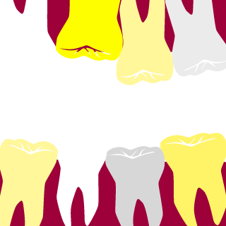 Valler96's emblem