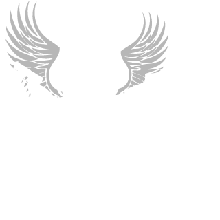 Alpha Star5787's emblem