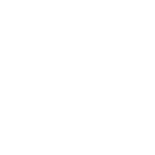 SK1_48's emblem
