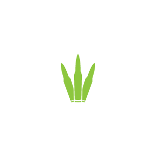 4546435454564654's emblem