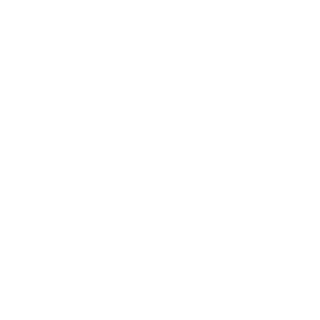 ZppaT's emblem