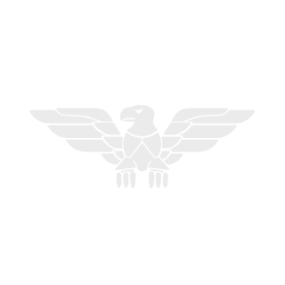Zimpa11's emblem