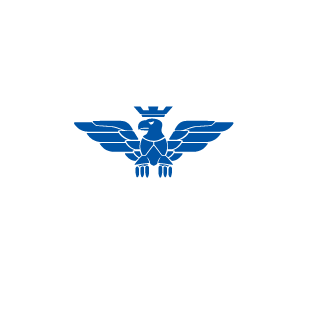 TheBlueHawks's emblem