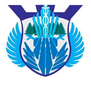 Tioste339's emblem