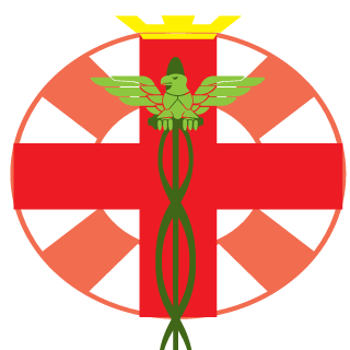 sntryTF's emblem