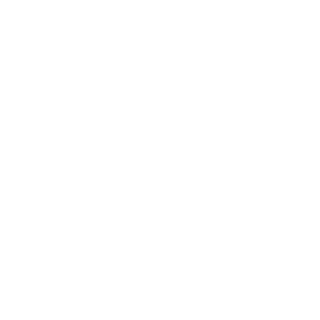 TheAwesomeGamr1's emblem